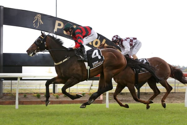 Wexford Stables hoping for a good start to the new year