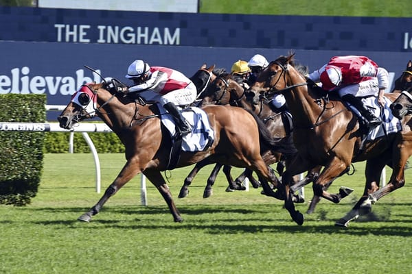 O’Shea brigade ready to Roar in Ingham