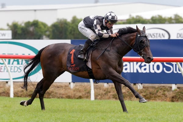 Sinarahma retired