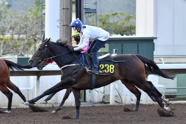 Vincent Ho’s keeping the faith in Golden Sixty