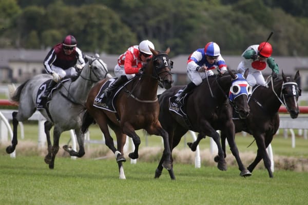 <strong>Dionysus excels under patient Kennedy ride</strong>