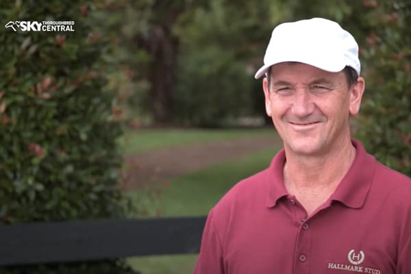 VIDEO: Hallmark Stud Karaka 2023 Preview