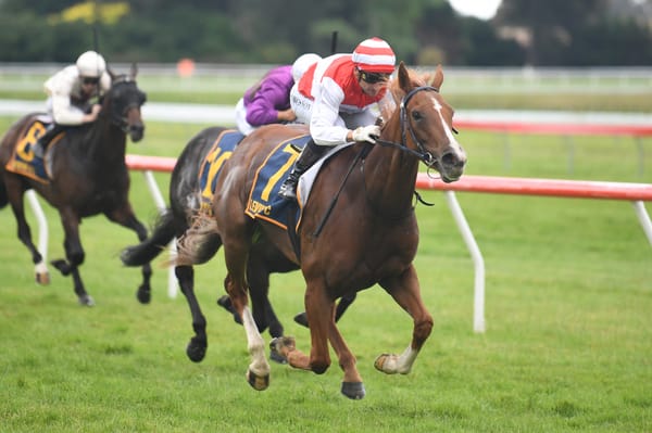 Awapuni stepping stone for Kelly Coe
