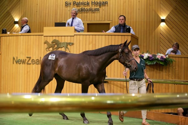 Derby-winning owners loving Karaka