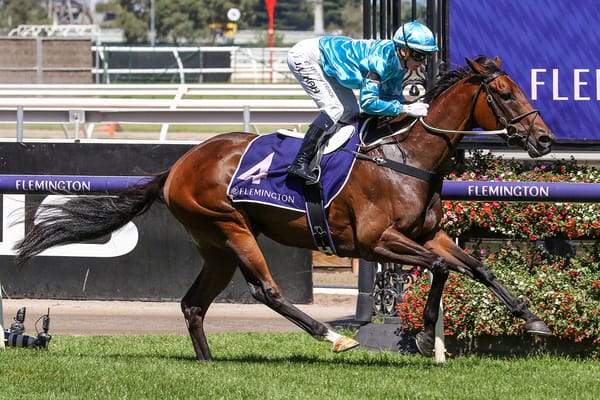 Annavisto on track for Memsie tilt