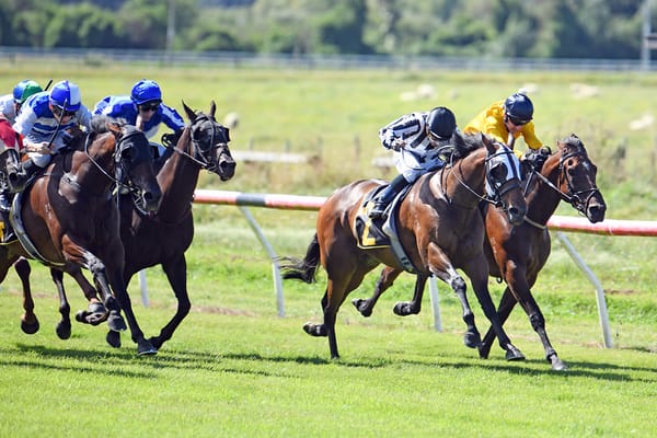 McNab magic claims stakes success for Belclare