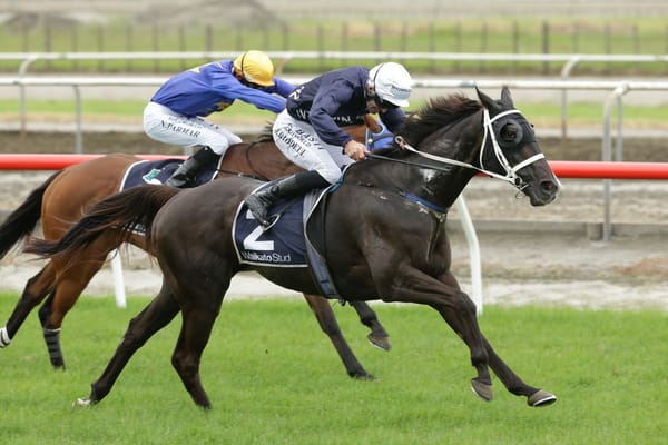 Balcombe In To Win on first trip to Matamata