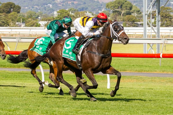 Junior out to shore up Cup start