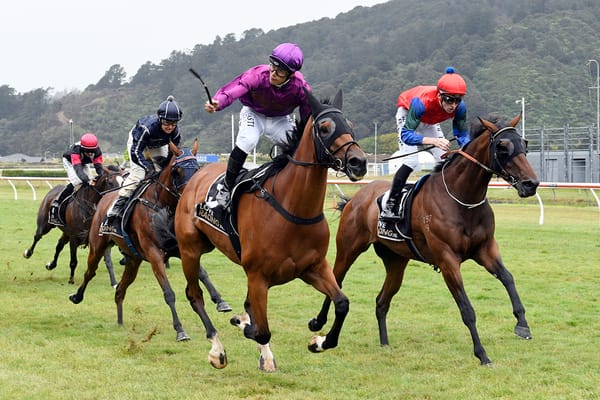 Progressive performer ready for Cup test