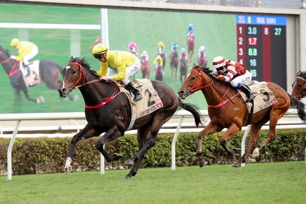 Muollo strongly invested in Lucky Sweynesse family