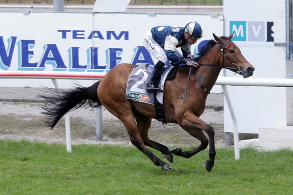Weatherley has spring plans in full swing