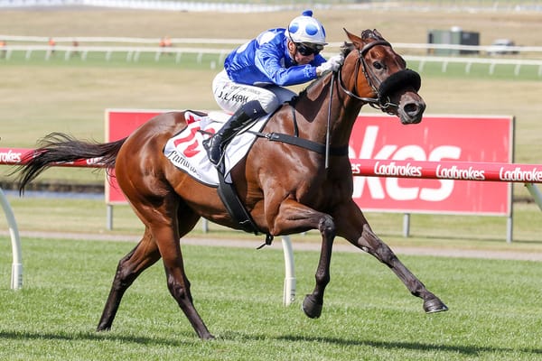 Arataki aims at a second Bellmaine