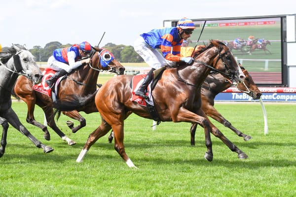 Elleegant three-quarter bro's debut win