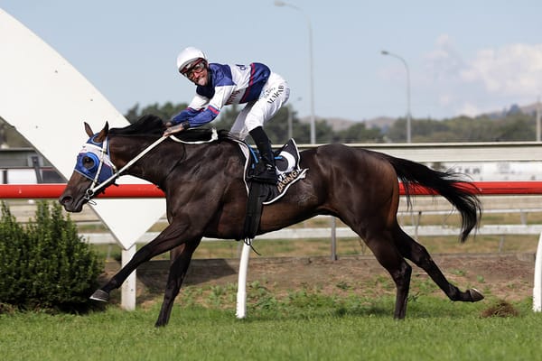 Marsh mares primed for Riccarton feature