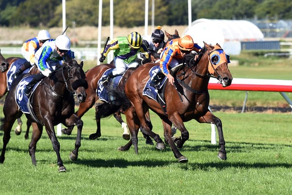 Westbury Stud enjoying golden run