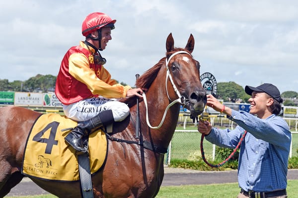 Whelan to continue his flying thoroughbred start