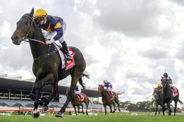 Butterfly ready to launch at Flemington