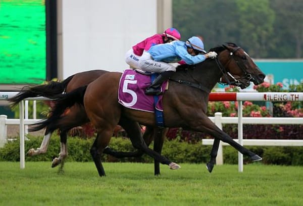 Kiwi success in Singapore Sprint