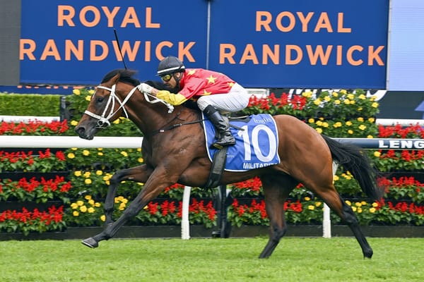 Militarize gelded, back in training