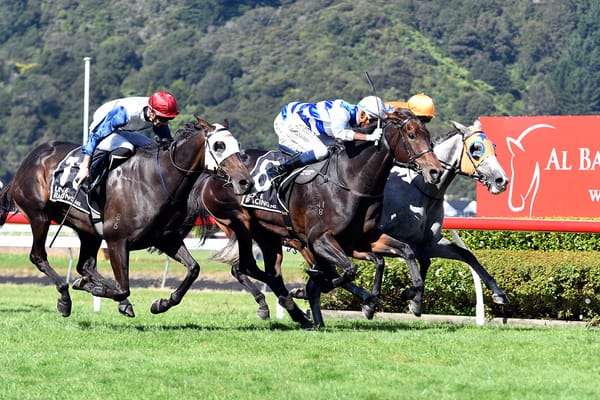 Pearl Of Alsace making return trip to Ruakaka