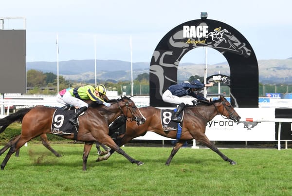 Staphanos success celebrated in US