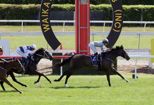 Foote duo to reset