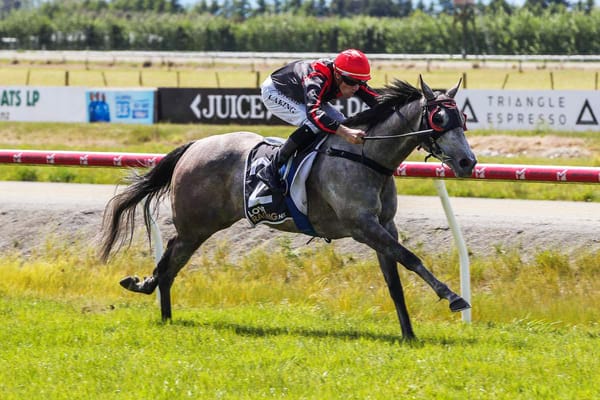 Russian Fable gets stable nod at Wingatui