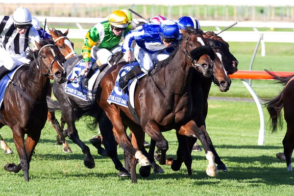 Brisbane favoured for Ruthless Dame