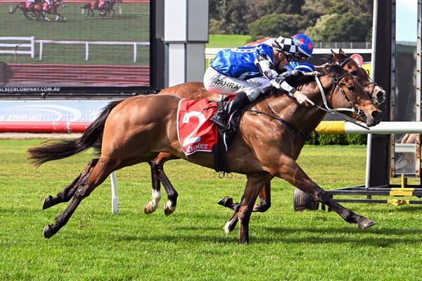 Artzino set for Caulfield test