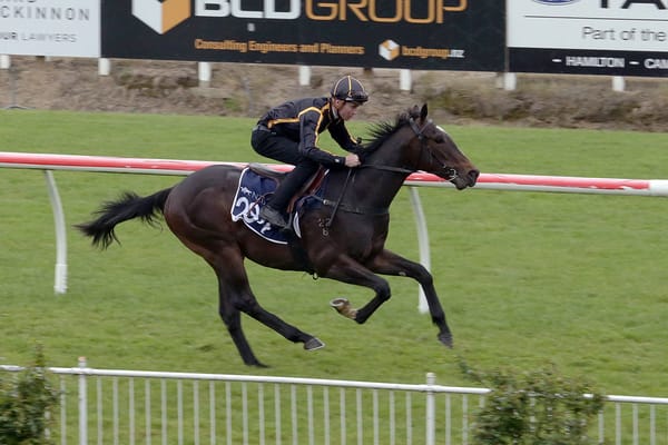 Entries open for Ready to Run Sale