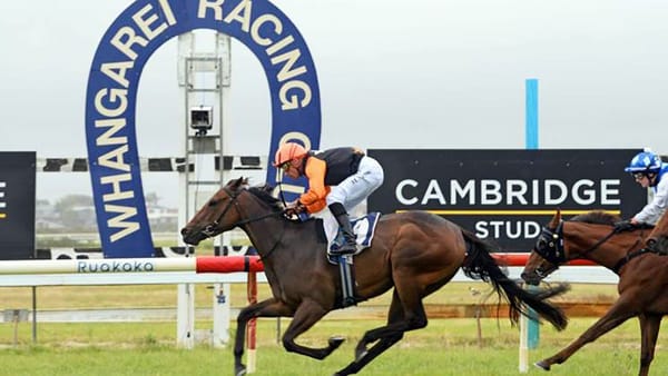 Mischief Managed out for home track success