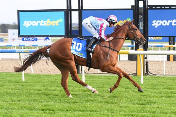 Mrs Chrissie hopes to continue hot stable form
