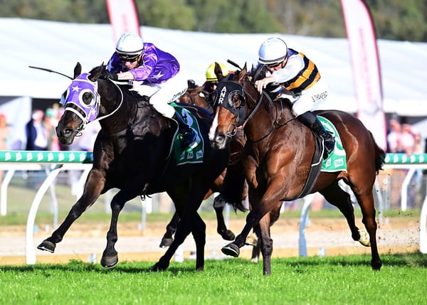 Regal Lion claims Ipswich Cup