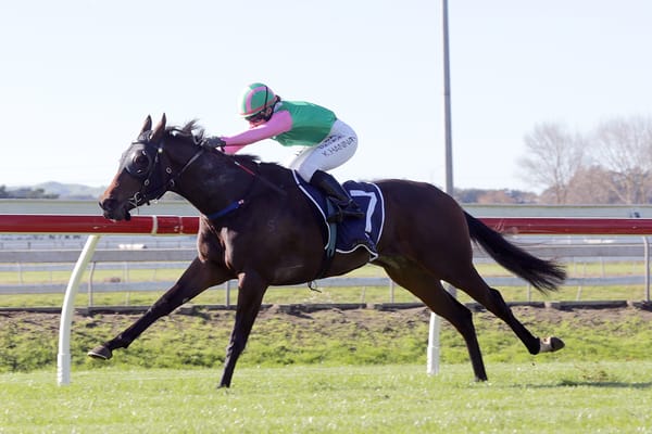 Wessex ready for Cups tilt