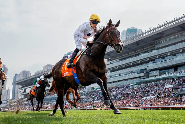 Third Horse of the Year title for Golden Sixty