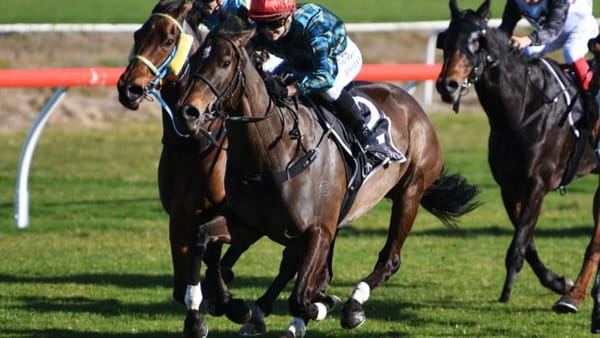 Cork to Winter Cup