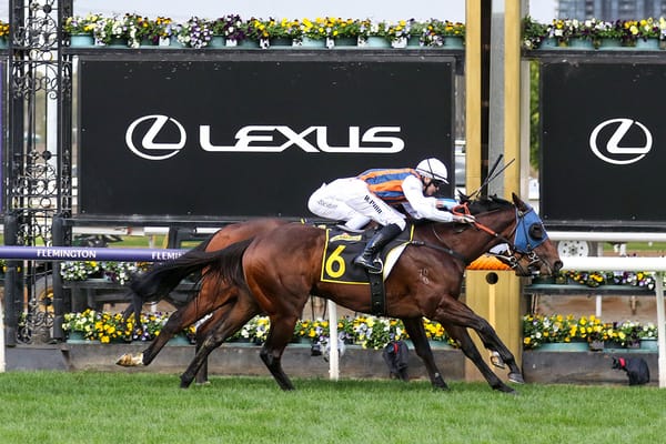 Black-type breakthrough for bargain filly Dolphin Skin