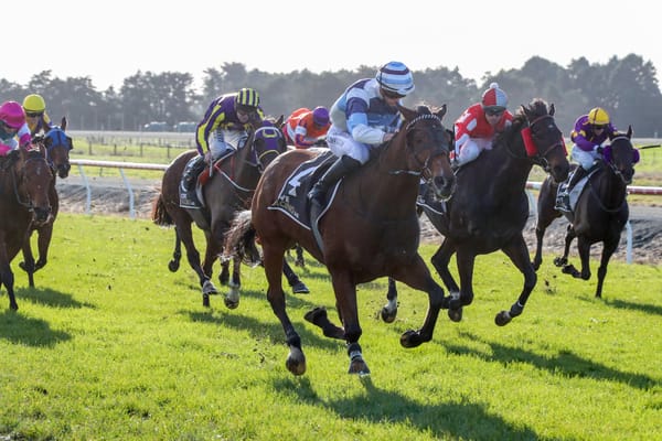 Louie Louie earns shot at stakes race