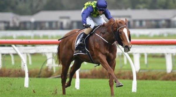 Caitlyn keeps owners wish alive