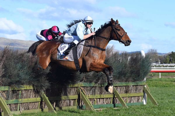 Top jumpers go head-to-head at Trentham