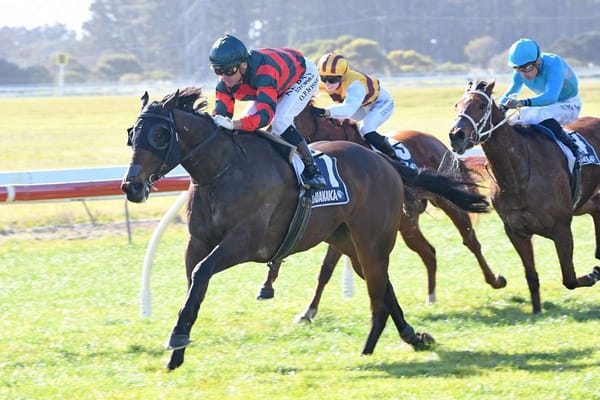 Foxbridge Plate target for Dragon Leap