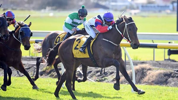 Who’s Complainin giving trainer plenty to crow about