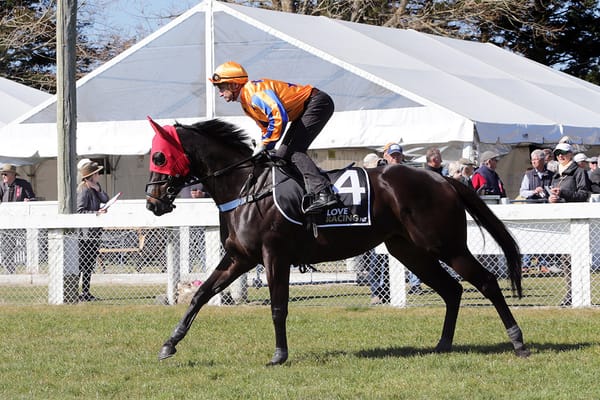 Te Akau touch down at Cranbourne