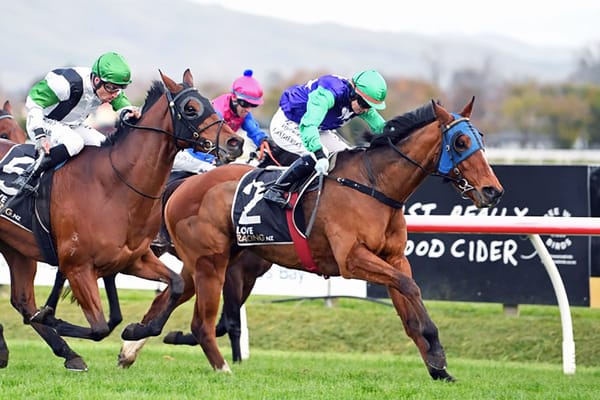 Jodelin Gal vying for a upset