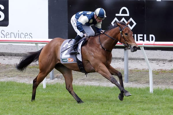 Pier makes winning trial return