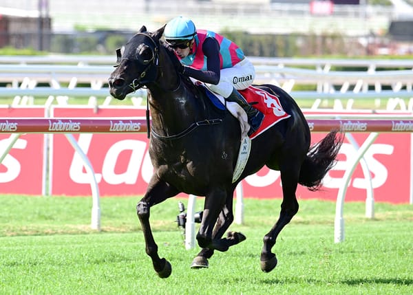 Antino takes first step on Toorak path