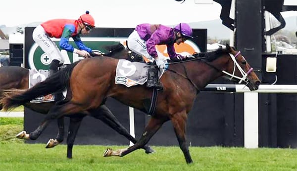 Lantern leads the way in Guineas