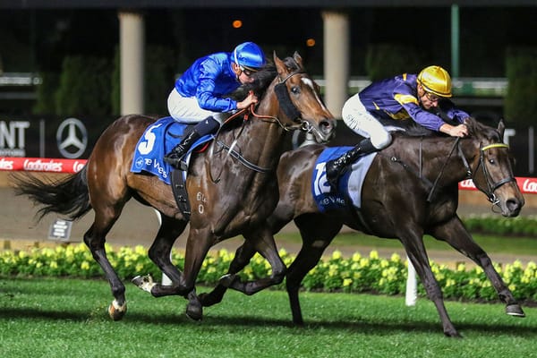Group One goals for Coeur Volante