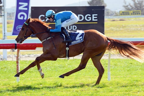2000 Guineas hope to step out at Te Rapa