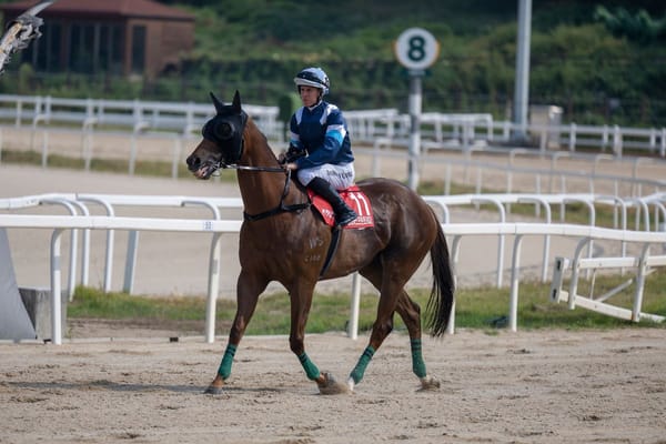Brave effort from kiwi bred in Korea